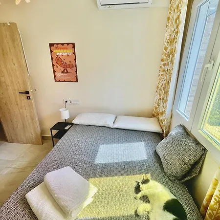 Homestay A Tiny Bright Space - Shared With 3 Cats Malaga